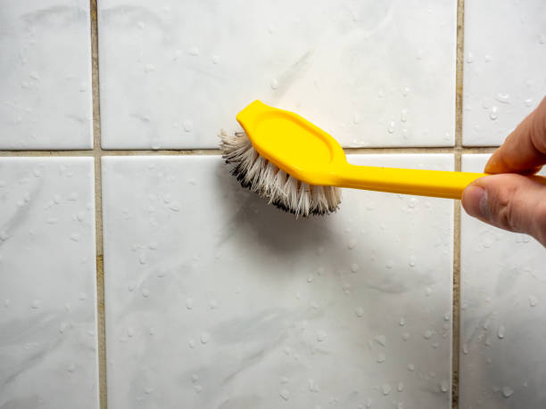 Best Kitchen Mold Remediation in Prosper, TX