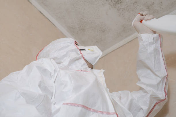 Prosper, TX Mold Remediation Company