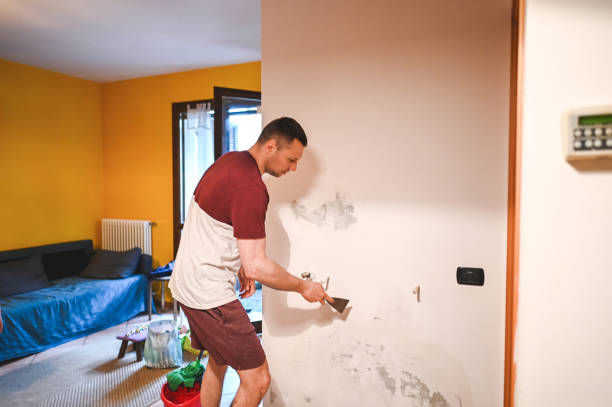 Best Residential Mold Remediation in Prosper, TX